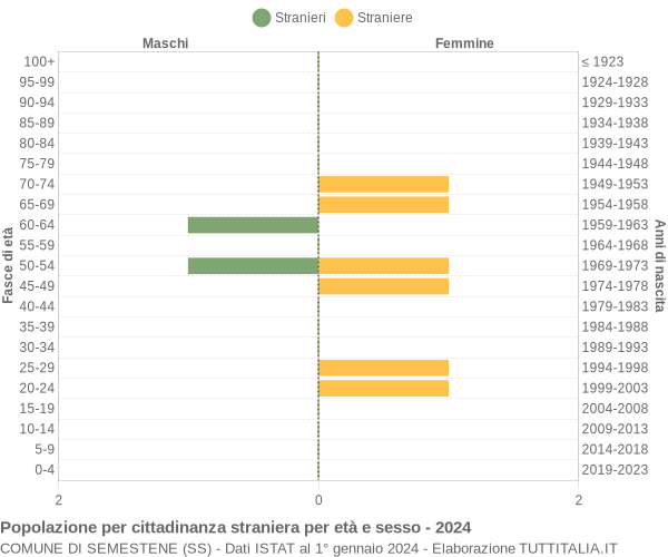 Grafico cittadini stranieri - Semestene 2024