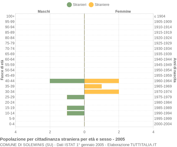 Grafico cittadini stranieri - Soleminis 2005