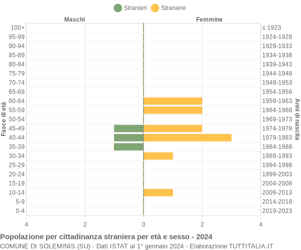 Grafico cittadini stranieri - Soleminis 2024