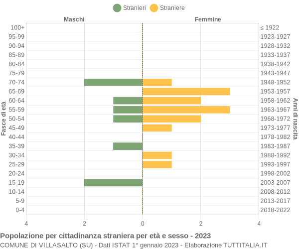 Grafico cittadini stranieri - Villasalto 2023