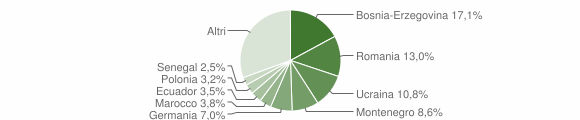 Grafico cittadinanza stranieri - Selargius 2010