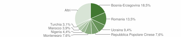 Grafico cittadinanza stranieri - Selargius 2013