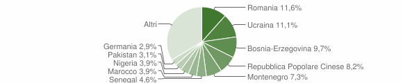 Grafico cittadinanza stranieri - Selargius 2016