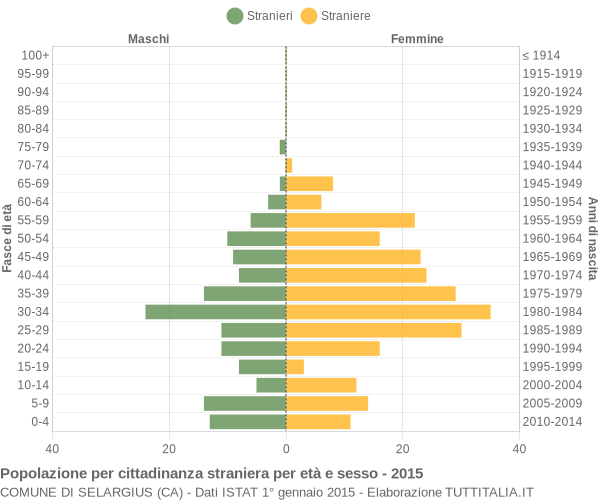 Grafico cittadini stranieri - Selargius 2015