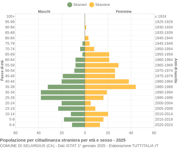 Grafico cittadini stranieri - Selargius 2025