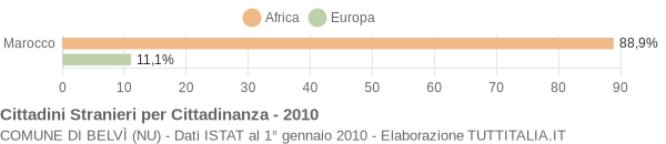 Grafico cittadinanza stranieri - Belvì 2010