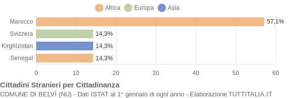 Grafico cittadinanza stranieri - Belvì 2013