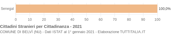 Grafico cittadinanza stranieri - Belvì 2021