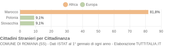 Grafico cittadinanza stranieri - Romana 2006