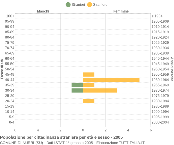 Grafico cittadini stranieri - Nurri 2005