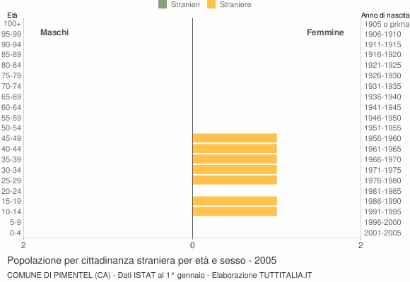 Grafico cittadini stranieri - Pimentel 2005