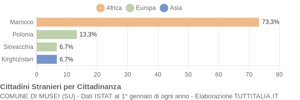 Grafico cittadinanza stranieri - Musei 2014