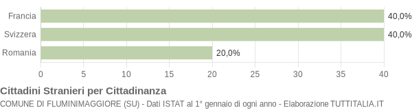 Grafico cittadinanza stranieri - Fluminimaggiore 2005