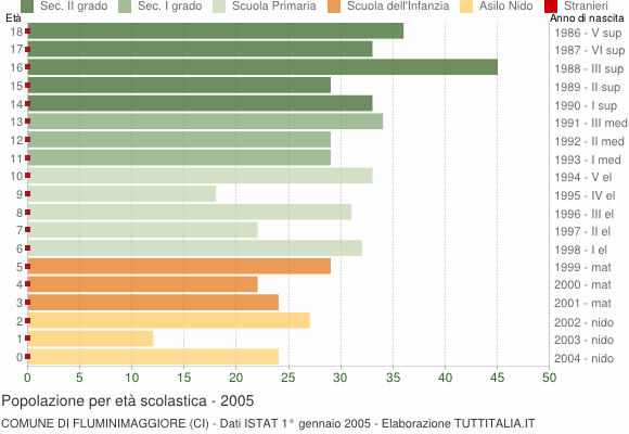 Grafico Popolazione in età scolastica - Fluminimaggiore 2005