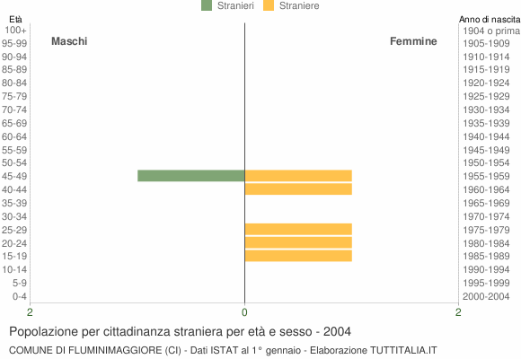 Grafico cittadini stranieri - Fluminimaggiore 2004