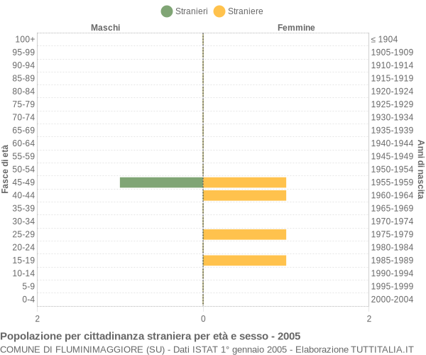 Grafico cittadini stranieri - Fluminimaggiore 2005