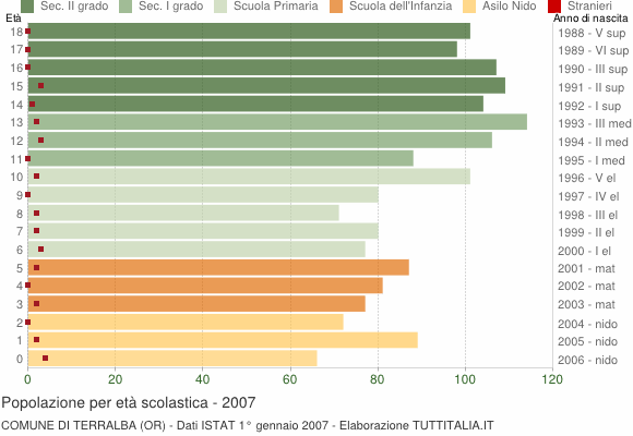 Grafico Popolazione in età scolastica - Terralba 2007