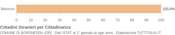 Grafico cittadinanza stranieri - Boroneddu 2011