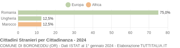 Grafico cittadinanza stranieri - Boroneddu 2024