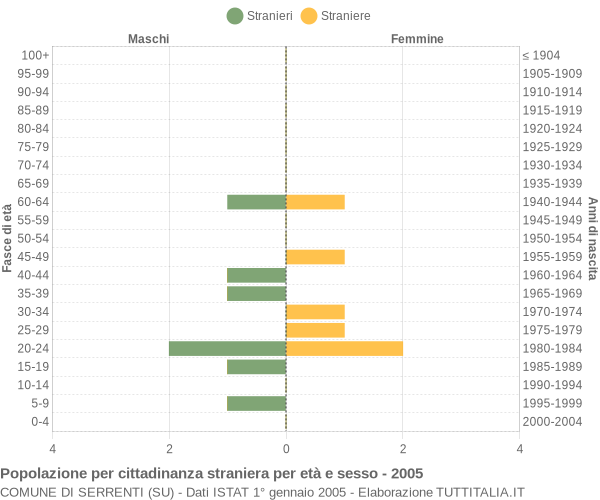 Grafico cittadini stranieri - Serrenti 2005