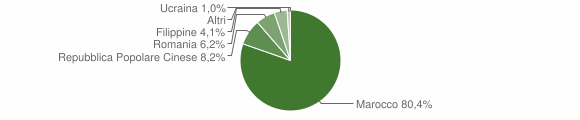 Grafico cittadinanza stranieri - Thiesi 2008