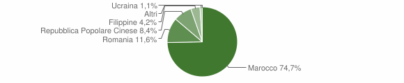 Grafico cittadinanza stranieri - Thiesi 2009
