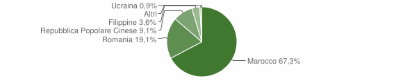 Grafico cittadinanza stranieri - Thiesi 2010