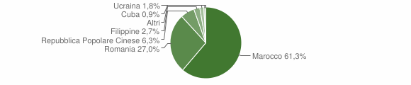 Grafico cittadinanza stranieri - Thiesi 2011