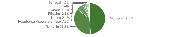 Grafico cittadinanza stranieri - Thiesi 2013