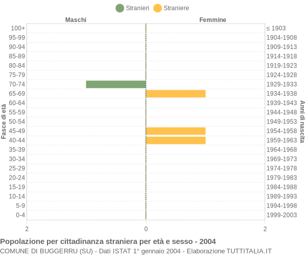 Grafico cittadini stranieri - Buggerru 2004