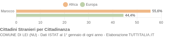 Grafico cittadinanza stranieri - Lei 2021