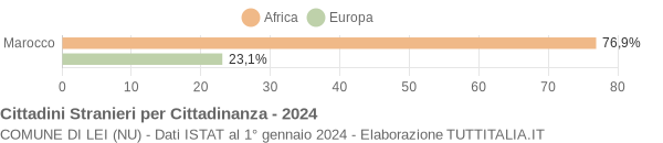 Grafico cittadinanza stranieri - Lei 2024