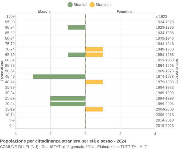 Grafico cittadini stranieri - Lei 2024