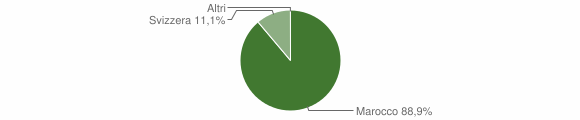 Grafico cittadinanza stranieri - Ortacesus 2006