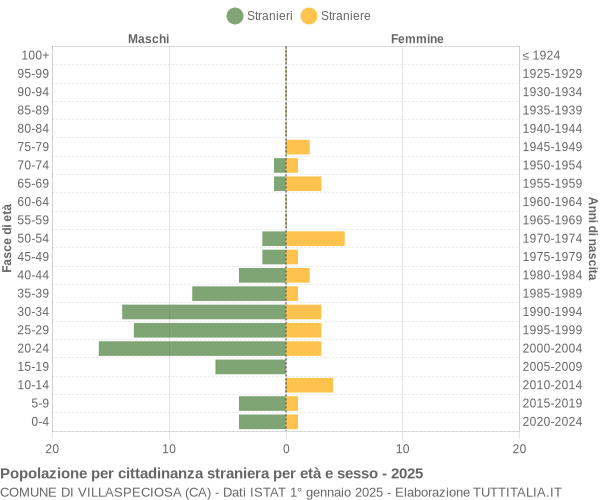 Grafico cittadini stranieri - Villaspeciosa 2025