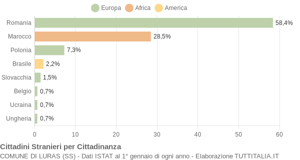 Grafico cittadinanza stranieri - Luras 2013