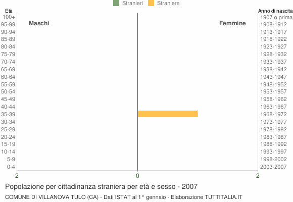 Grafico cittadini stranieri - Villanova Tulo 2007
