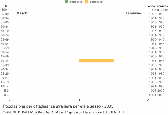 Grafico cittadini stranieri - Ballao 2005