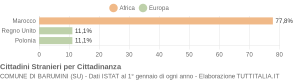 Grafico cittadinanza stranieri - Barumini 2005