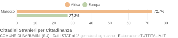 Grafico cittadinanza stranieri - Barumini 2006