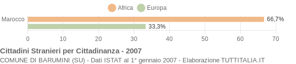 Grafico cittadinanza stranieri - Barumini 2007