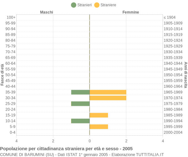 Grafico cittadini stranieri - Barumini 2005