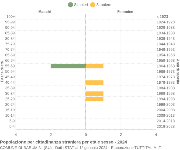 Grafico cittadini stranieri - Barumini 2024