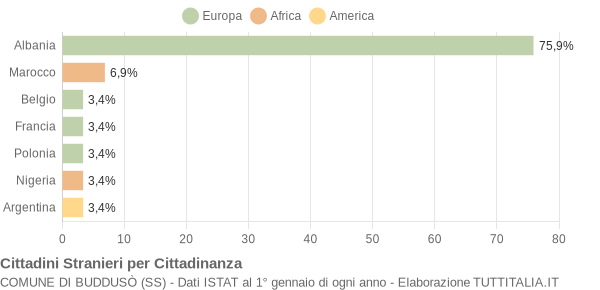 Grafico cittadinanza stranieri - Buddusò 2004