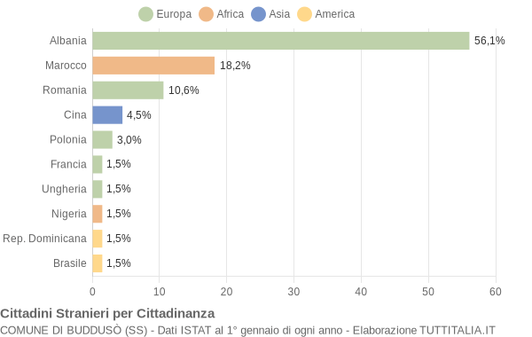 Grafico cittadinanza stranieri - Buddusò 2009