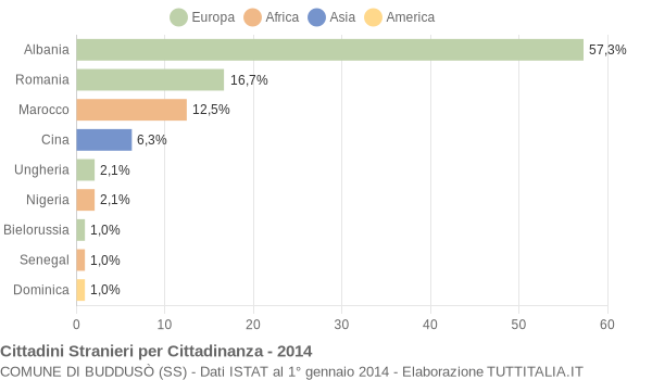 Grafico cittadinanza stranieri - Buddusò 2014