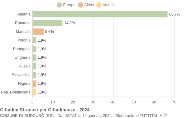 Grafico cittadinanza stranieri - Buddusò 2024