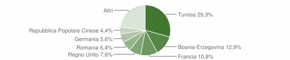 Grafico cittadinanza stranieri - Pula 2008