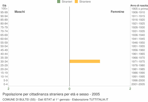 Grafico cittadini stranieri - Bultei 2005