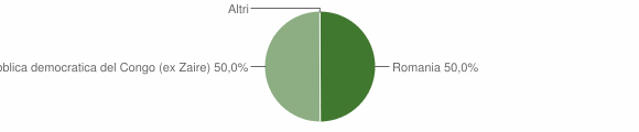 Grafico cittadinanza stranieri - Elini 2010